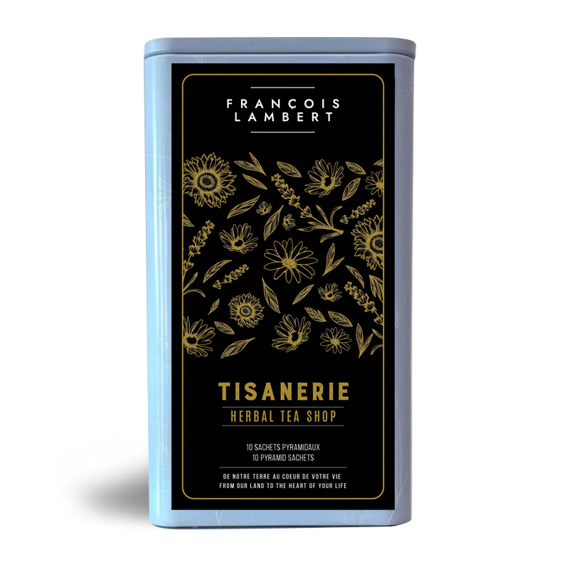 Tisane Chaï Citrouille en Sachet Pyramidal (10 sachets) - Image 3