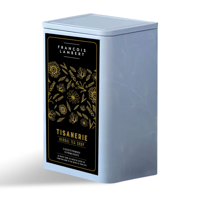Tisane Chaï Citrouille en Sachet Pyramidal (10 sachets) - Image 4